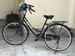 Japanese Bicycle (Original)