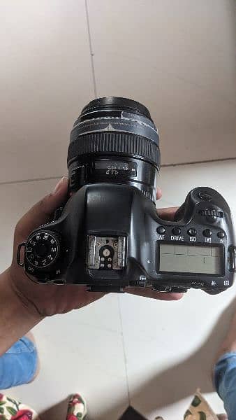 canon 6D full frame camera 7