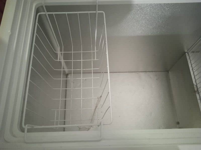 pel deep freezer 3
