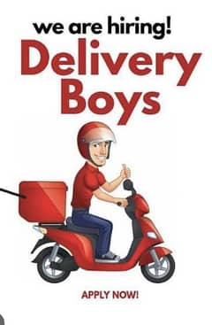Delivery boy only for 4 to 5 hours partime