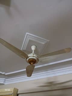 ceiling fan( Non inventor ) 0