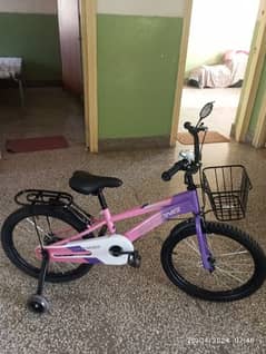 Baby Bicycle 20 No