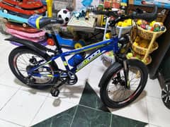 20 inch  kids bike