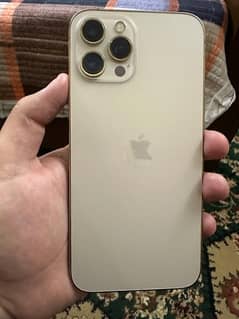 iphone 12 pro max PTA approved
