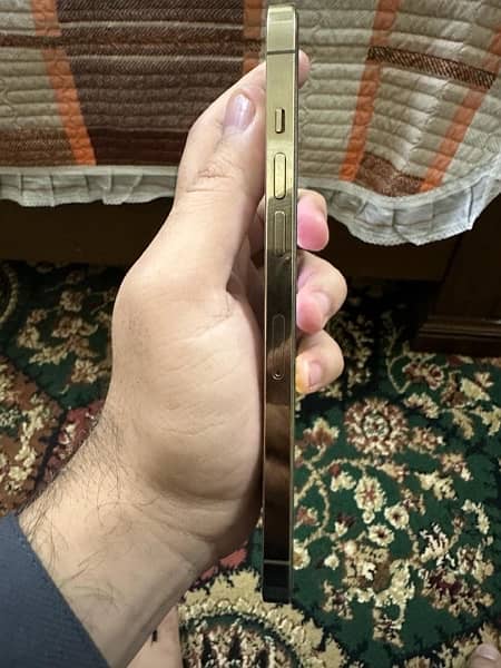 iphone 12 pro max PTA approved 2