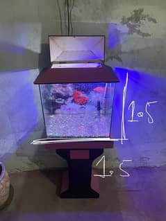 fish aquarium for sell all ok condition 0