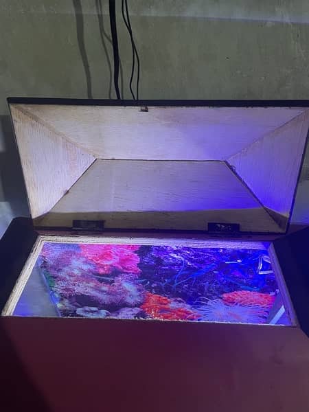 fish aquarium for sell all ok condition 4