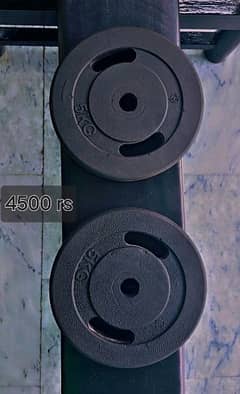 5 kg rubber coated pair plate or 10 kg metal plate pair