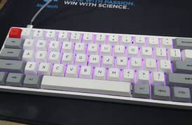 skyloong sk61 optical gateron brown switches