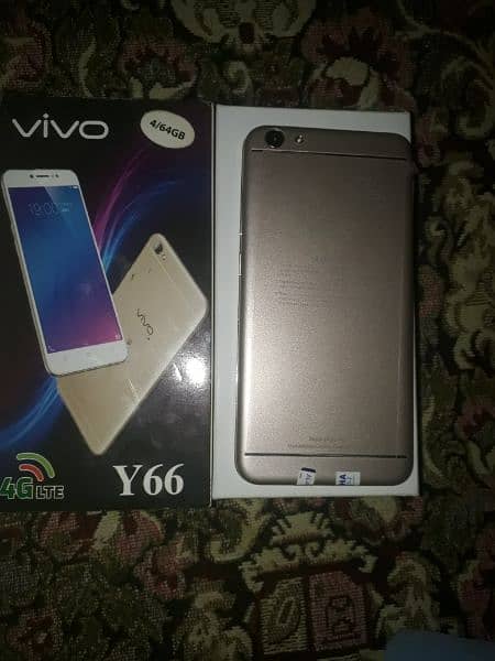 VIVO Y,66 Mobile 4/64 2