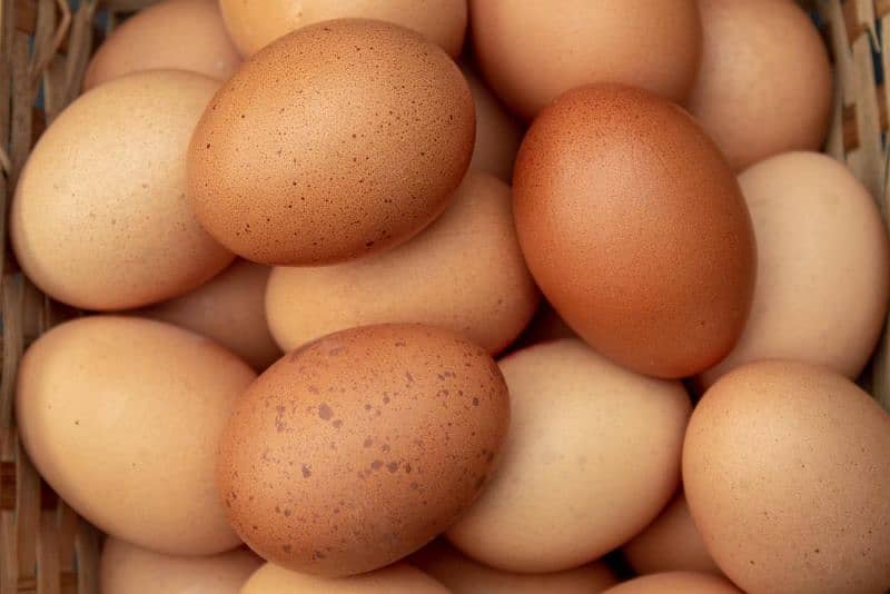 Desi Eggs for Sale / Rs. 250 per dozen 1