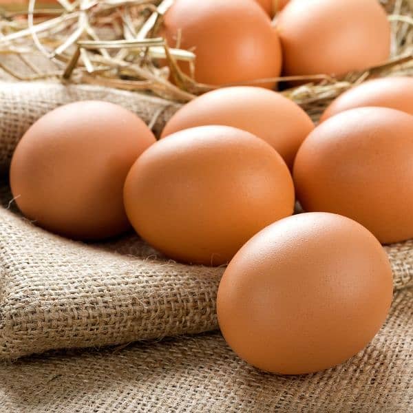 Desi Eggs for Sale / Rs. 250 per dozen 2