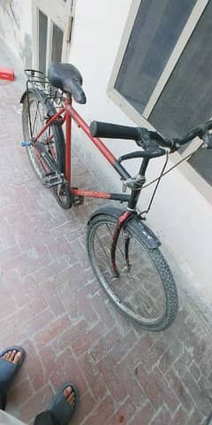 Mountain bicycle 0