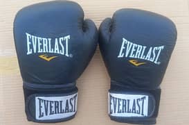 Boxing Gloves(Everlast) 0