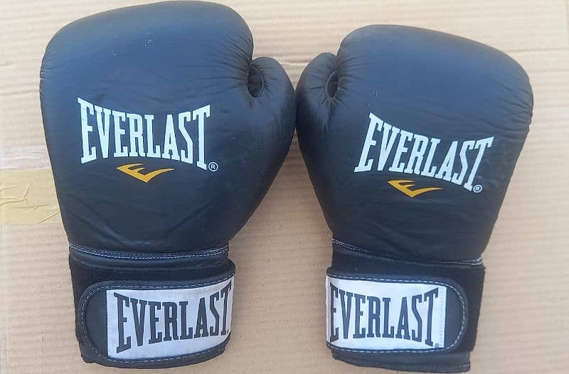 Boxing Gloves(Everlast) 0