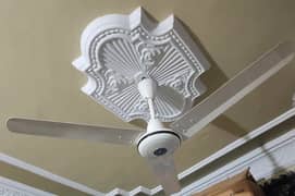 Ceiling Fan Available For Sale