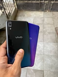 vivo