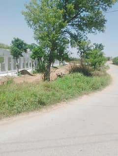 Chicks shed with 12.4 kanal agriculture land for sale in mandra chakwal road chakwal
