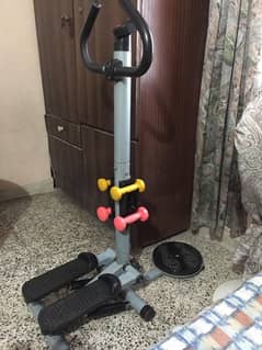 Standing Stepper with Twister & Dumbbells
