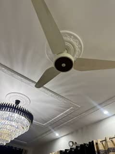 very new ceiling fans
