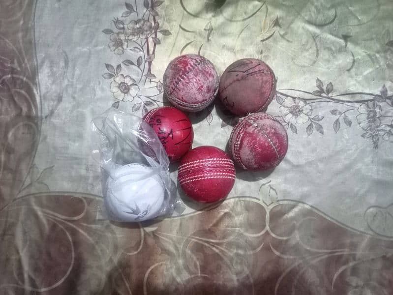 Cricket All Accessories in low rate 11