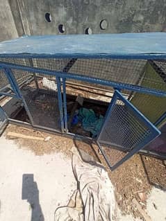 Heavy cages for Hen ,Moti gali or pipe ma with in 4 portion