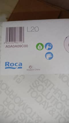 ROCA CONCEALED BODY