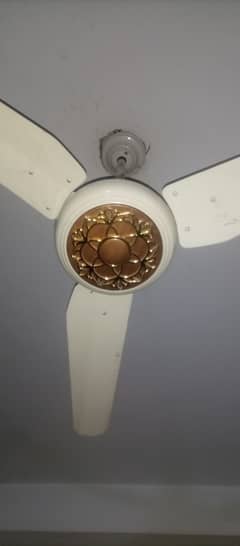 Ac Dc ceiling fan 12v
