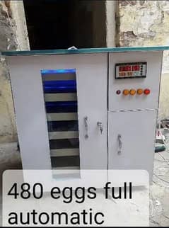 50 eggs incubator

Available

Call and WhatsApp number 03114141416