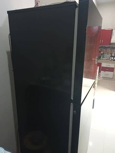 refrigerator/pel refrigerator/glass door refrigerator/fridge 2