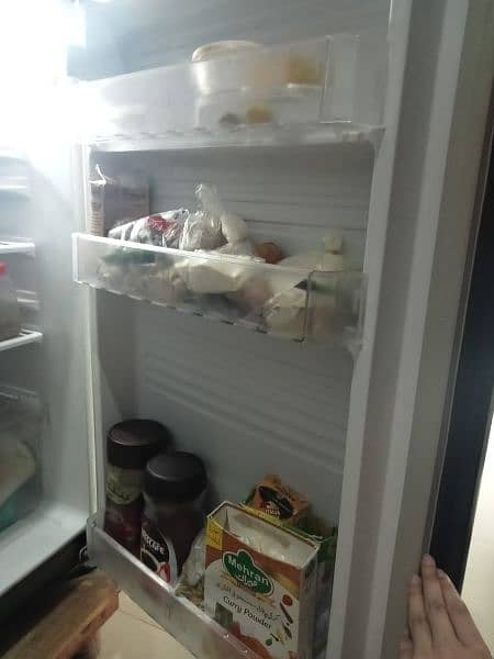 refrigerator/pel refrigerator/glass door refrigerator/fridge 5