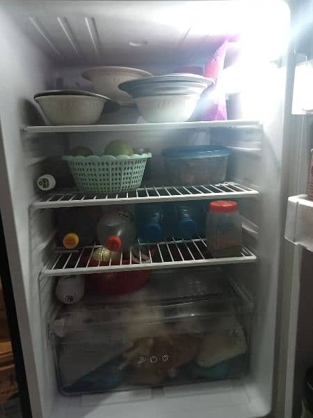 refrigerator/pel refrigerator/glass door refrigerator/fridge 6