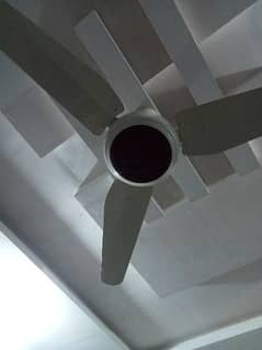 6 fan for sale home use