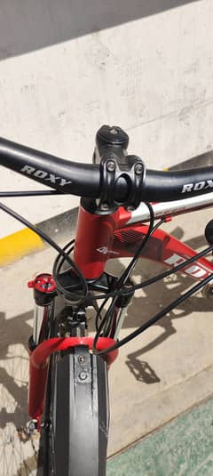 Roxy bicycle