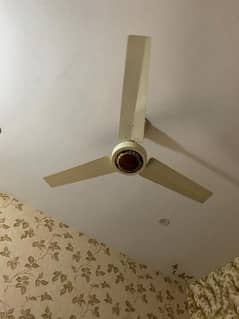 2 Gfc Ceiling Fan +2 fancy ceiling fans