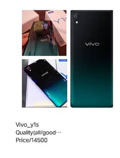 Vivo ys1