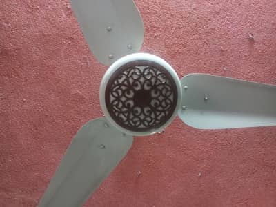SK Fan available for sale