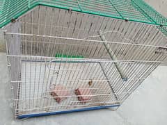 master cage for pair raaa parrot