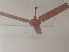 ceiling fan for sale