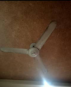 pak  ceiling fan