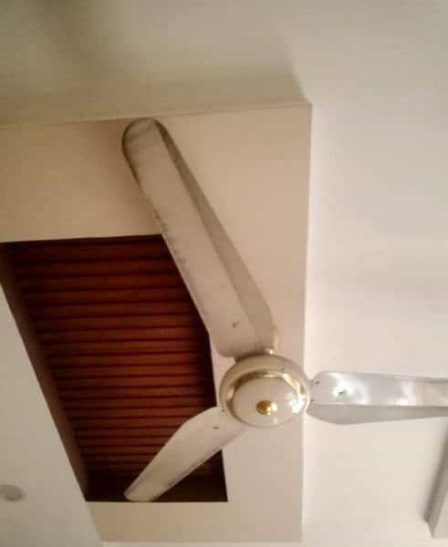 pak  ceiling fan 1