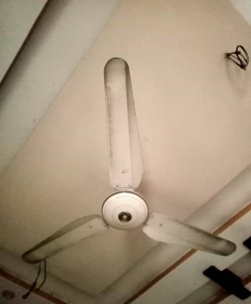 pak  ceiling fan 6