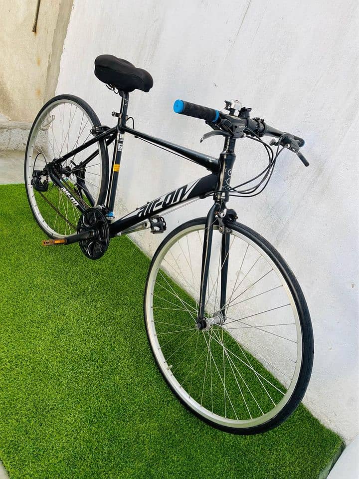 Air-on Hybrid Bicycle 1