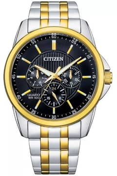 Citizen Stainless Steel With Two-Tone Gold Plating