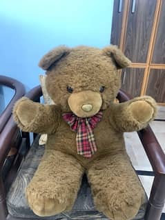 teddy for sale 0
