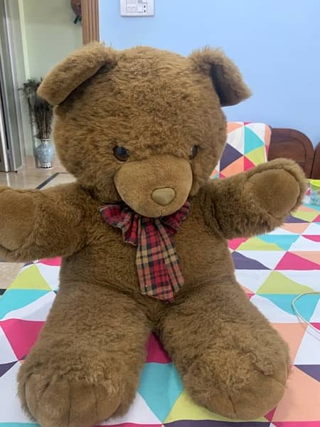 teddy for sale 1