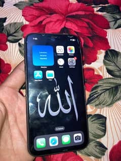 iphone 11 64 gb non pta lush read add !!!!