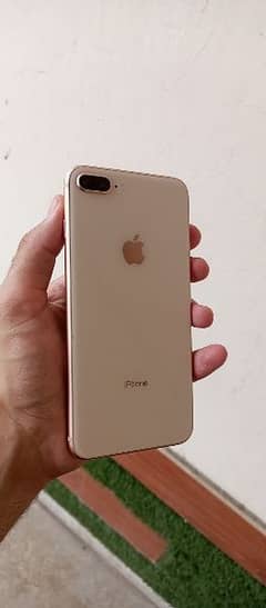 Iphone 8 Plus Gold