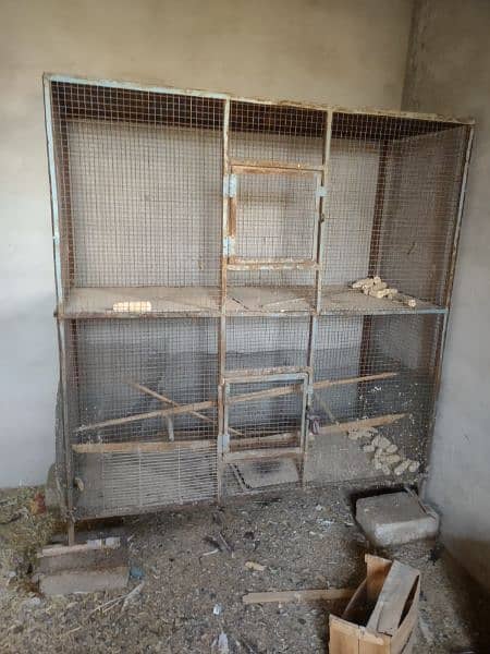 parrot cages 1