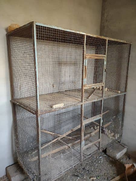 parrot cages 3